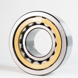 Single Row Cylindrical Roller Bearing OD：240mm